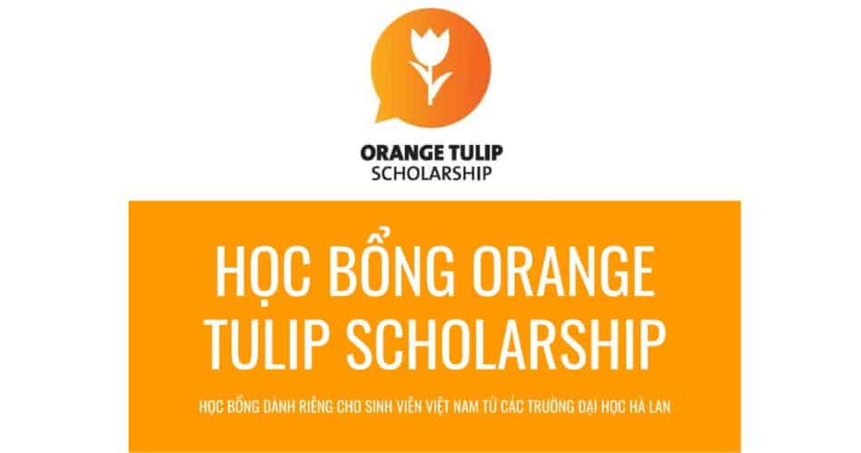 hoc-bong-ha-lan-orange-tulip-scholarship