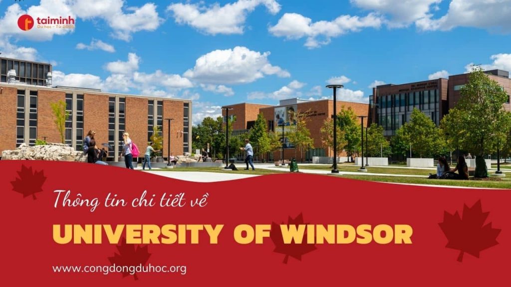 Trường University of Windsor