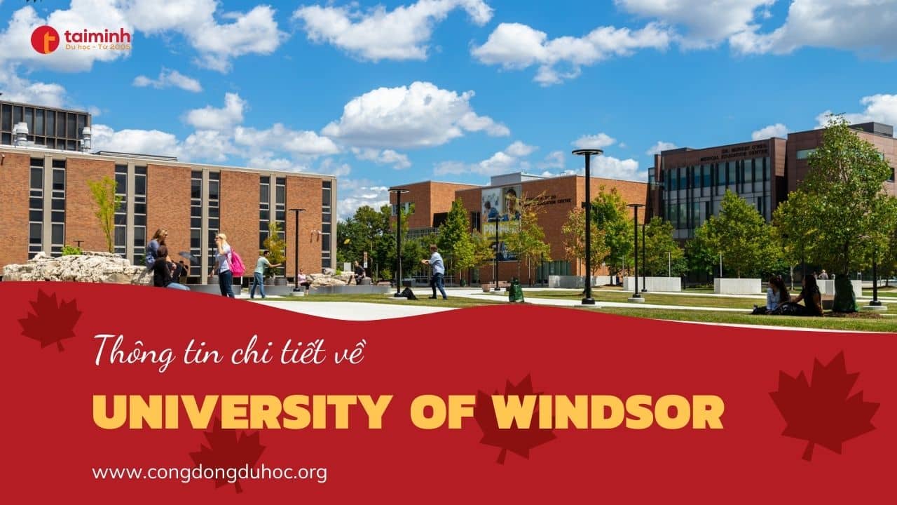 Trường University of Windsor