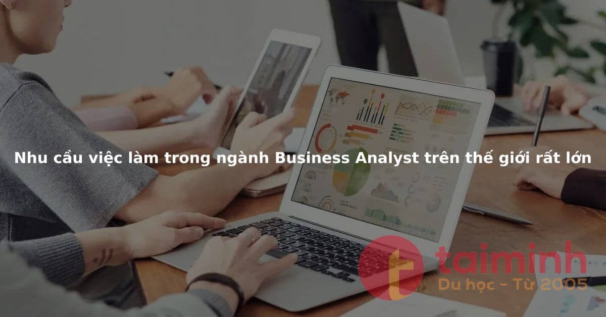 Ngành Business Analyst Tại MIT