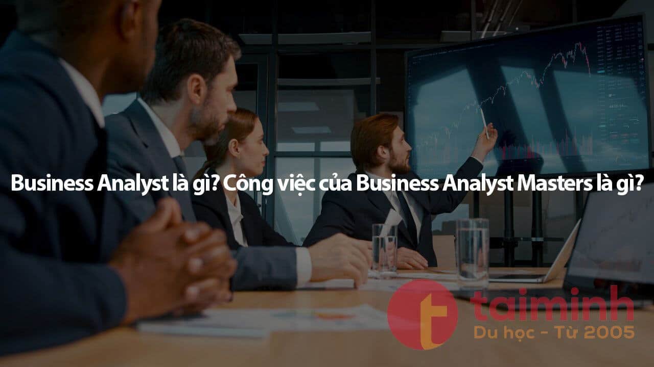 Ngành Business Analyst Tại MIT