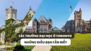 Đại Học Ở Toronto