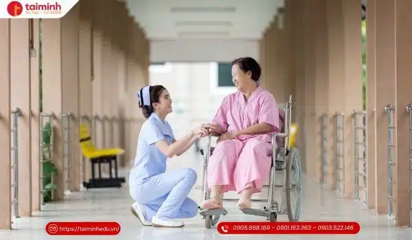 những ngành nên học ở Mỹ