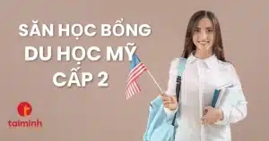 Săn học bổng du học Mỹ cấp 2