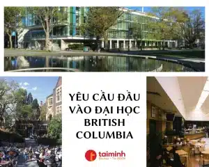 Yêu Cầu Đầu Vào Đại Học British Columbia