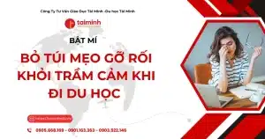 Coffee Talk săn học bổng Mỹ