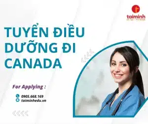 tuyển điều dưỡng đi Canada