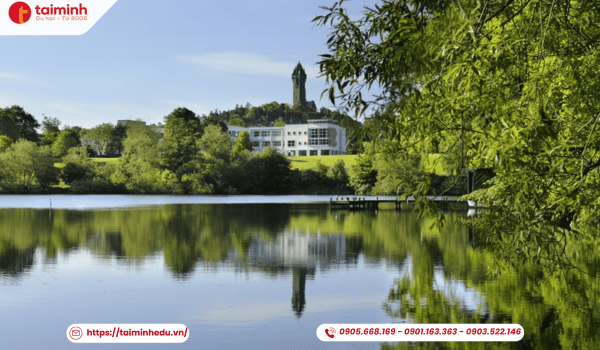 University of Stirling