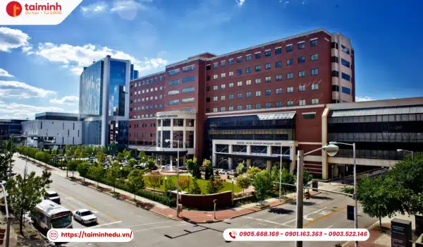 The University of Alabama at Birmingham
