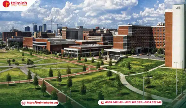 The University of Alabama at Birmingham